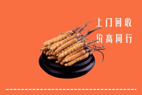 高价求购：景德镇回收散虫草