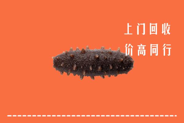 高价求购：景德镇回收海参