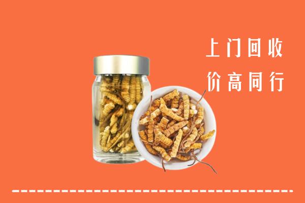 景德镇回收冬虫夏草