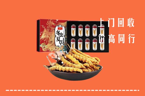 景德镇回收虫草